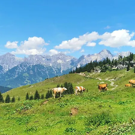 Maria Alm - Cozy & Modern Mountain View شقة
